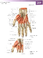 Sobotta Atlas of Human Anatomy  Head,Neck,Upper Limb Volume1 2006, page 216